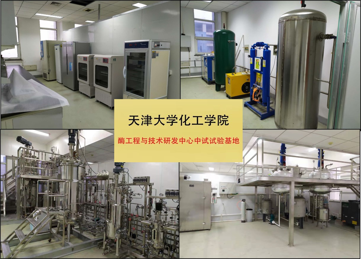 发酵-催化-纯化吨级中试基地的技术服务